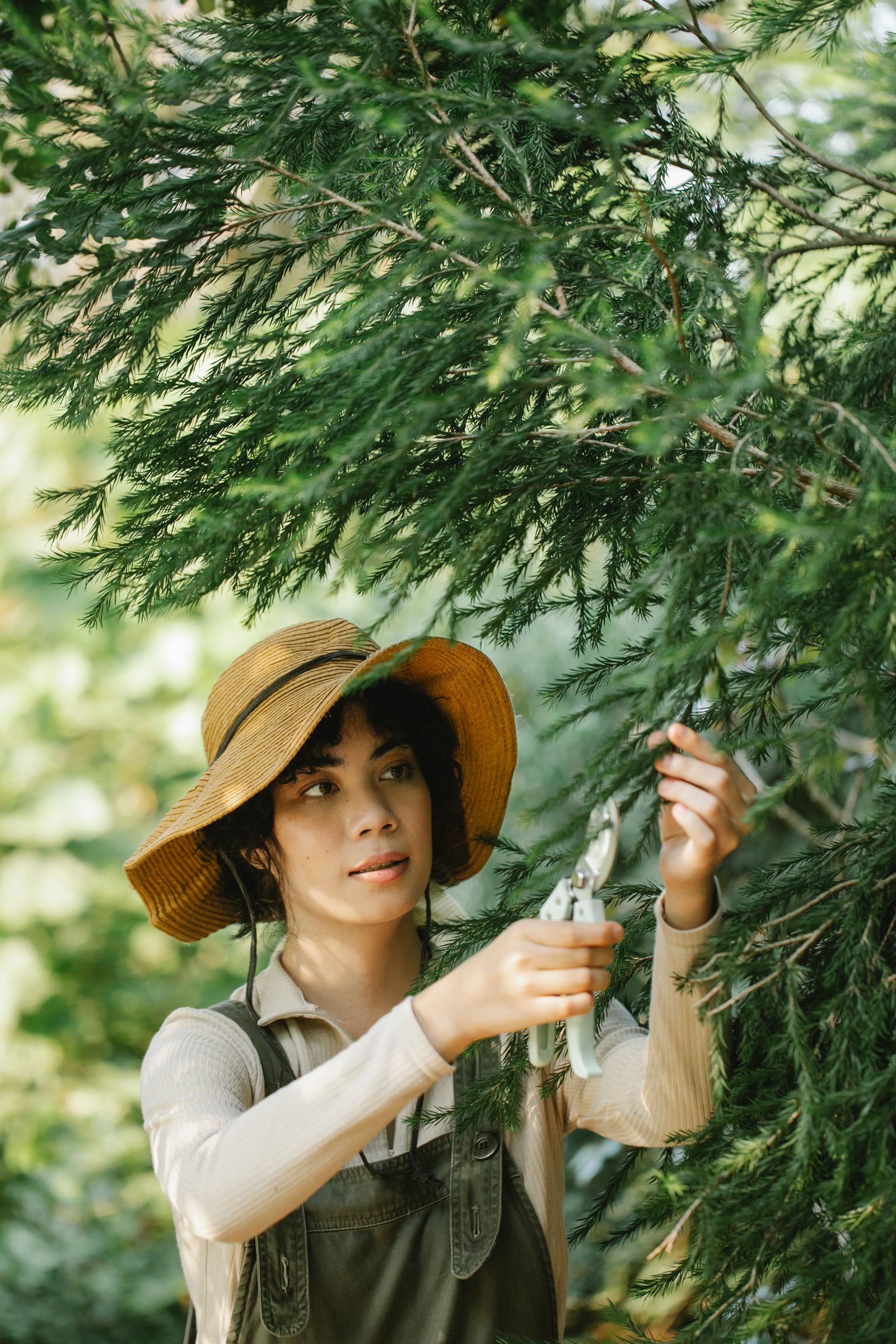 Tree Pruning